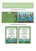 Vorschau - Stationenlernen - Wissenskarten - Wiesenarten - Seite 2