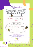 Vorschau - Fördermaterial/Inklusion - Wie schwer ist eine Ananas? - Einführung in Funktionen mit Sketchnotes - Seite 2