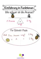 Vorschau - Fördermaterial/Inklusion - Wie schwer ist eine Ananas? - Einführung in Funktionen mit Sketchnotes - Seite 3