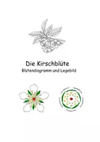 Vorschau - Arbeitsblätter - Die Kirschblüte---Diagramm und Legebild - Deckblatt