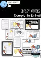 Vorschau - Stundenentwürfe - Sinnesorgane - Das Ohr - komplette Einheit - Deckblatt