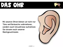 Vorschau - Stundenentwürfe - Sinnesorgane - Das Ohr - komplette Einheit - Seite 2