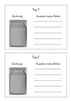 Vorschau - Arbeitsblätter - Die Bohne - Bohnentagebuch im Sachunterricht - Seite 3