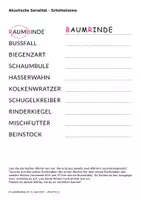 Vorschau - Arbeitsblätter - Arbeitsblatt - Lesen lernen - Schüttelreimwörter entdecken - Seite 1