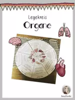 Vorschau - Bildkarten - Legekreis Organe des Menschen - Deckblatt