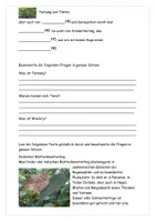 Vorschau - Stundenentwürfe - Tarnung im Tierreich Texte Aufgaben Lösungen Steckbrief - Seite 2