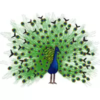 Vorschau - selbst erstellte Cliparts/Grafiken - such_a_doodle Cliparts Tiere von A bis Z - Seite 2