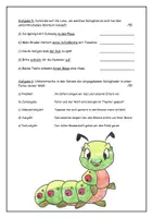 Vorschau - Klassenarbeiten - Deutsch-Klassenarbeit/Mischarbeit, Klasse 4 - Seite 3