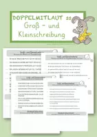 Vorschau - Arbeitsblätter - Doppelmitlaut ss - Groß- und Kleinschreibung - Deckblatt