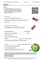 Vorschau - Arbeitsblätter - Lernplakat + Arbeitsblatt zum Thema "Ameisen" + Onlineübung & MP3 + Mindmap + Infografik - Seite 1