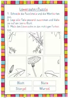 Vorschau - Arbeitsblätter - Löwenzahn Forscherheft - Seite 2