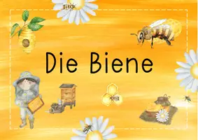 Vorschau - Arbeitsblätter - Die Biene - Materialpaket - Seite 1