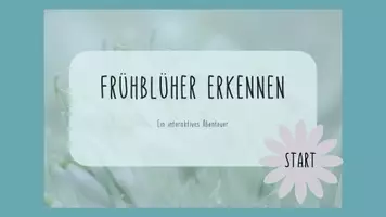 Vorschau - Interaktives Material - Frühblüher bestimmen (interaktives PDF) - Seite 1
