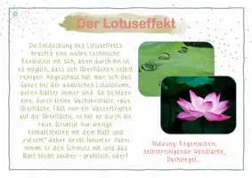 Vorschau - Stationenlernen - 10 Karteikarten zur Bionik - bionische Erfindungen - Seite 2