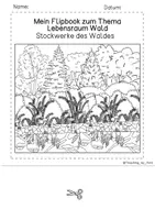 Vorschau - Arbeitsblätter - Flipbook - Stockwerke des Waldes - Seite 1