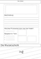 Vorschau - Arbeitsblätter - Flipbook - Stockwerke des Waldes - Seite 2