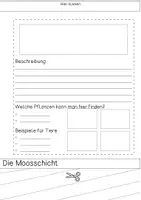 Vorschau - Arbeitsblätter - Flipbook - Stockwerke des Waldes - Seite 3