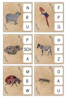 Vorschau - Fördermaterial/Inklusion - 38 Klammerkarten Anlaute Tiere - Seite 3