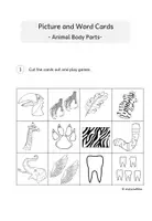 Vorschau - Spiele - FREEBIE: Animal Body Parts - Picture and Word Cards - Seite 3