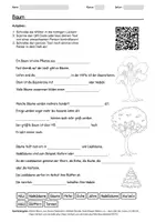 Vorschau - Arbeitsblätter - Lernposter + Arbeitsblatt zum Thema "Baum" + Onlineübung & MP3 + Mindmap + Infografiken - Seite 1