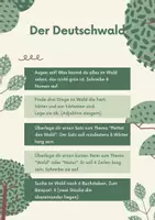 Vorschau - Arbeitsblätter - Unterricht im Wald (Paket) - Seite 3