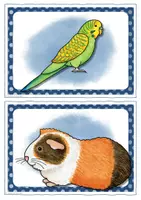 Vorschau - Bildkarten - Flashcards and Wordcards - 9 Pets - Seite 3