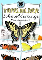 Vorschau - Poster - Tafelmaterial Schmetterlinge - Deckblatt