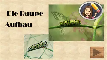 Vorschau - Videos - Aufbau der Raupe interaktiv und Video - Deckblatt