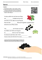 Vorschau - Arbeitsblätter - Arbeitsblatt zum Thema "Beeren" + Onlineübung & MP3 + - Deckblatt