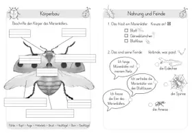 Vorschau - Arbeitsblätter - Marienkäfer - Distanzlernen (Klasse 1) - Seite 3