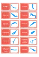 Vorschau - Spiele - Schweiz - Gewässer Spiele und Tafelmaterial - Seite 3