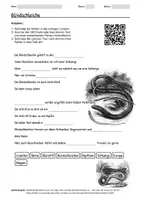 Vorschau - Arbeitsblätter - Arbeitsblatt zum Thema "Blindschleiche" + Onlineübung & MP3 + Mindmap + Infografik - Deckblatt
