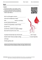 Vorschau - Arbeitsblätter - Lernposter + Arbeitsblatt zum Thema "Blut" + Onlineübung & MP3 + Mindmap + Infografik - Seite 1
