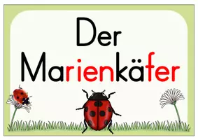Vorschau - Poster - Der Marienkäfer (Themenplakat) - Deckblatt
