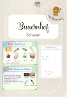 Vorschau - Arbeitsblätter - Bauernhof: Schwein (Kl.1/2) - Deckblatt
