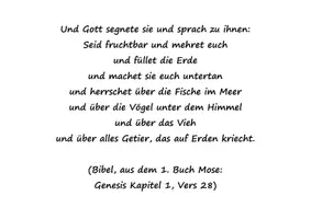 Vorschau - Stundenentwürfe - Herrschaftsauftrag des Menschen- Genesis - Seite 3