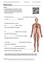 Vorschau - Arbeitsblätter - Lernposter + Arbeitsblatt zum Thema "Blutkreislauf" + Onlineübung & MP3 + Mindmap + Infografiken - Seite 1