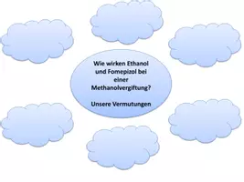Vorschau - Stundenentwürfe - Unterrichtsbesuch: „Was tun bei einer Methanolvergiftung?“- Die kompetitive Hemmung von Enzymen. - Seite 3