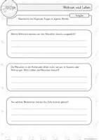 Vorschau - Arbeitsblätter - Wohnen und Leben in der Steinzeit -Arbeitsblätter- - Seite 2