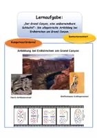 Vorschau - Stundenentwürfe - Unterrichtsbesuch: Die allopatrische Artbildung bei Erdhörnchen am Grand Canyon. - Deckblatt
