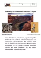 Vorschau - Stundenentwürfe - Unterrichtsbesuch: Die allopatrische Artbildung bei Erdhörnchen am Grand Canyon. - Seite 1