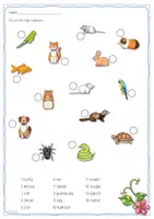 Vorschau - Arbeitsblätter - Materialpaket Pets 14 Tiere - Seite 3