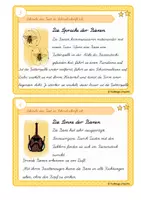 Vorschau - Aufgabenkarten - Abschreibkartei zum Üben der Schreibschrift- Die Biene (LA) - Seite 3
