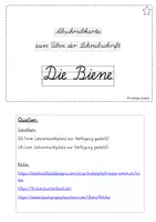 Vorschau - Arbeitsblätter - Abschreibkartei zum Üben der Schreibschrift - Die Biene (LA) - Seite 1