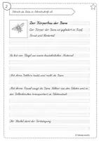 Vorschau - Arbeitsblätter - Abschreibkartei zum Üben der Schreibschrift - Die Biene (LA) - Seite 3