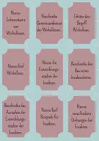 Vorschau - Spiele - Spiel Wirbellose mit Aufgaben - Insekten, Regenwurm - Seite 3