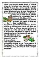 Vorschau - Arbeitsblätter - Ernährung im Methodentraining - Seite 2