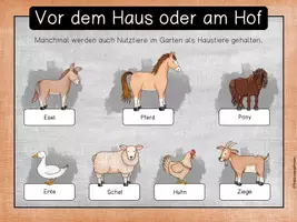Vorschau - Unterrichtsreihen - Haustiere - Haltung vor dem Haus und am Hof (Pferd) - Seite 3