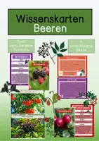 Vorschau - Arbeitsblätter - XXL- Materialpaket - Hecke /Lebensraum Hecke - Seite 1