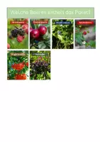 Vorschau - Arbeitsblätter - XXL- Materialpaket - Hecke /Lebensraum Hecke - Seite 2